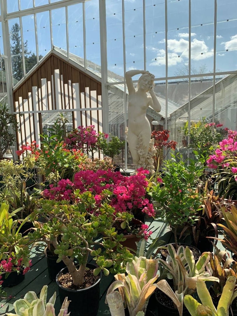 greenhouse with flowers