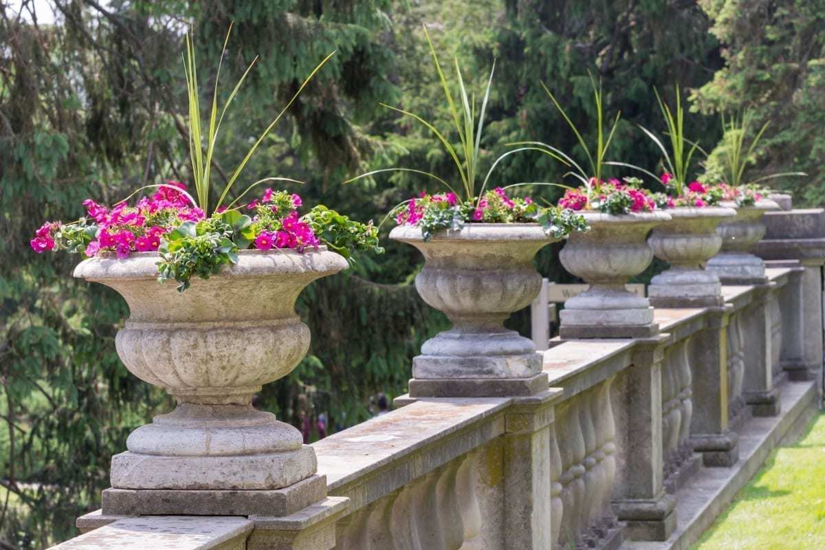 row of plant stands