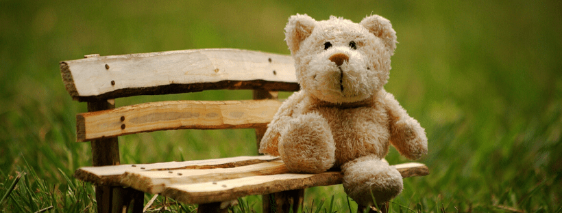 teddy bear on bench